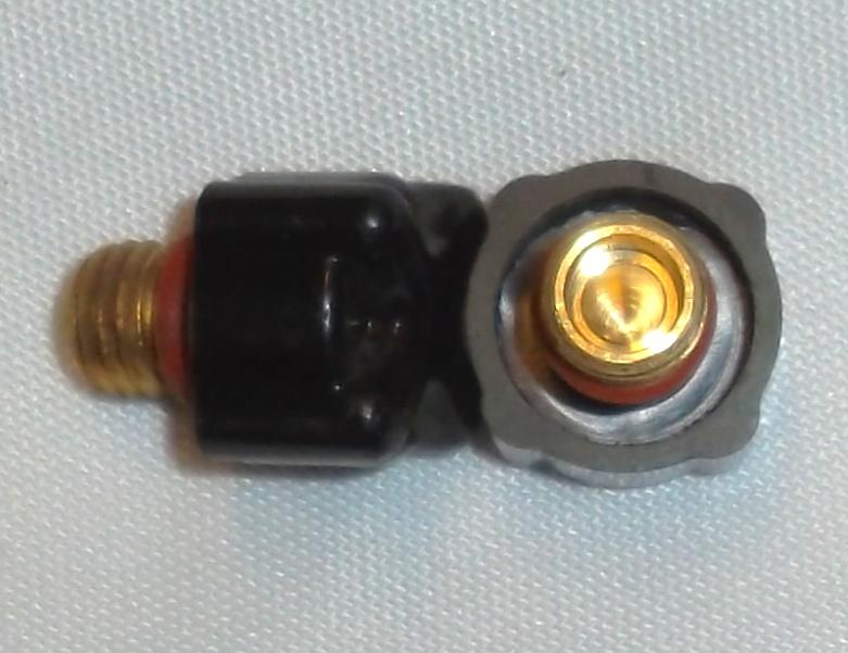 # 41V33 Back Cap Short