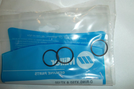 #263834 O-Ring